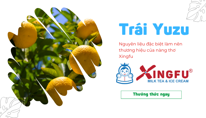 nuoc-chanh-vang-yuzu-xingfu