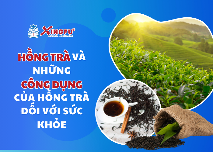 Cùng Xingfu Việt Nam tìm hiểu những công dụng bất ngờ của hồng trà